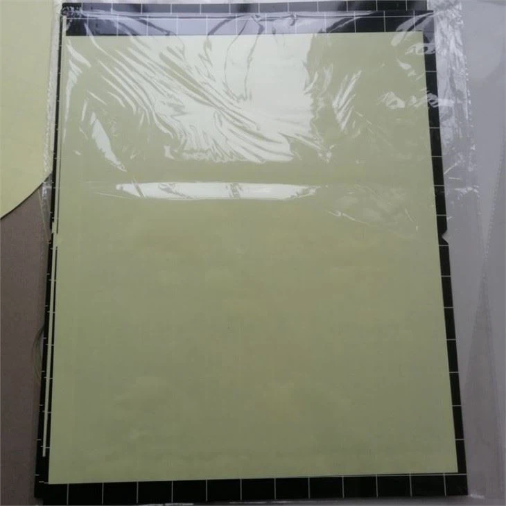 black fly paper Traps